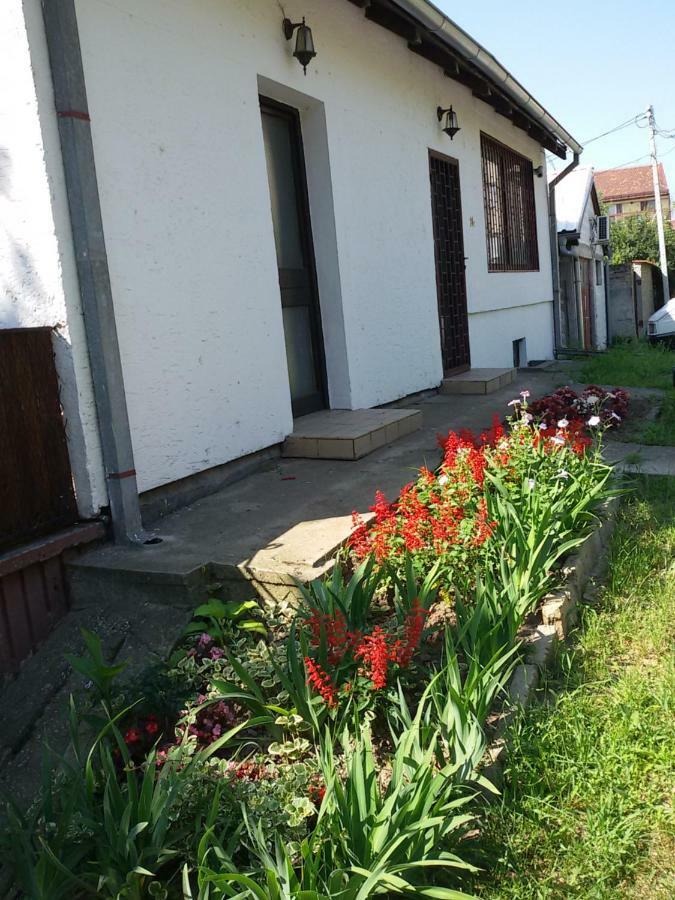 Apartman Romy Pančevo 외부 사진